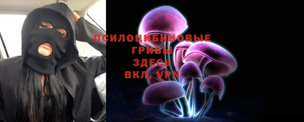 винт Арсеньев