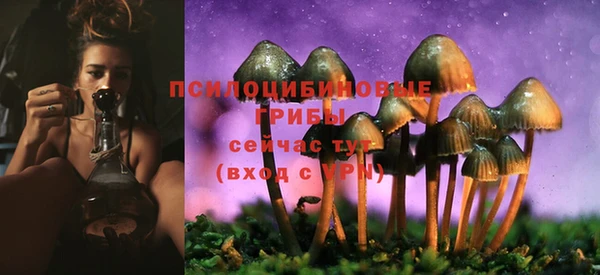 герыч Алзамай