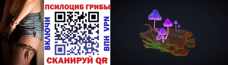 Купить  Первомайск  Псилоцибиновые грибы Psilocybine cubensis 